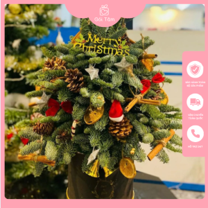 Quà tặng Noel
