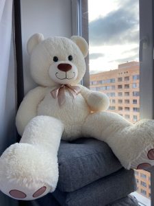 gấu bông teddy siêu to 